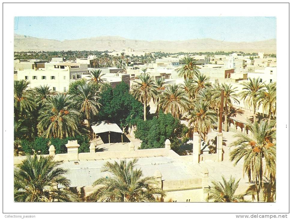cp, Algérie, Biskra, Vue Générale, écrite