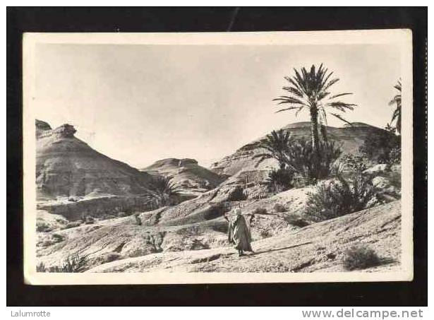 Biskra. a1. L´Aurès - Environ de Biskra; Oasis de M´Chounèche. paysage d´Erosion de M´Chounèche.
