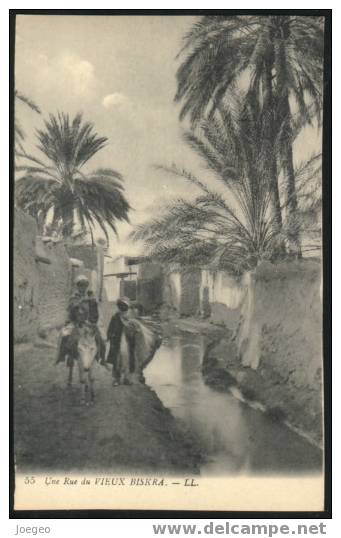 (6198) - Une Rue du Vieux Biskra