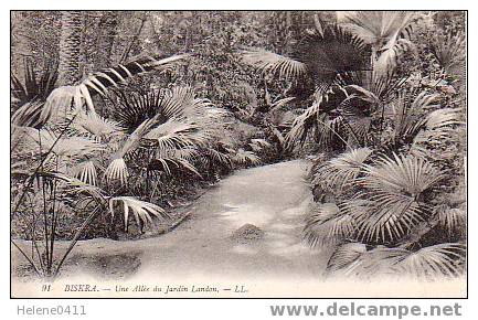 CPA BISKRA - UNE ALLEE DU JARDIN LANDON
