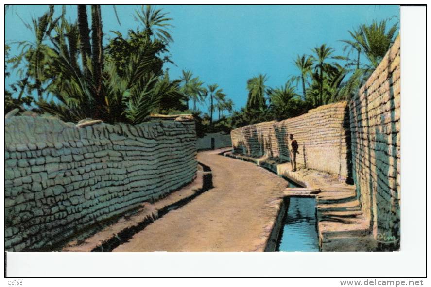 Biskra - Une rue de Bab-Darb