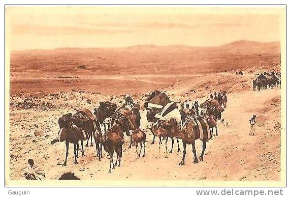 CPA - BISKRA - CARAVANE AU COL DE SFA - Edition Marius Maure