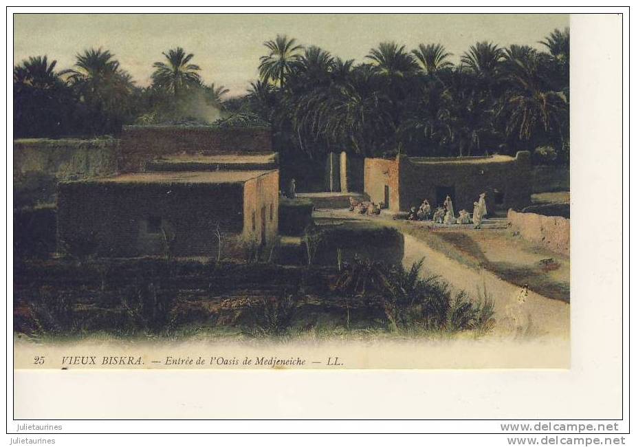 biskra entrée dans l´oasis de medjeneiche cpa bon état