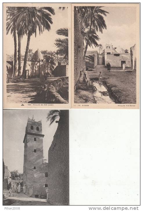 ALGERIE - mosquées de Biskra