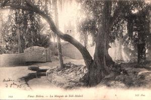 VIEUX BISKRA 03.10.1905 MOSQUEE SIDI MALECK ¤ NEURDEIN Destinataire Baboux  ¤ ALGERIE ALGERIA ALGERIEN ARGELIA  ¤587