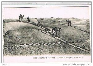 BISKRA    DUNES DE SABLE ET MEHARA....SUPER ETAT