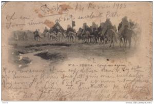 BISKRA -  CAVALIERS ARABES  -  Dos simple  -  Timbre Algérie