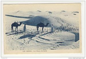 biskra les dunes de sable