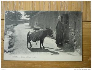 CPA ANIMEE BISKRA - RETOUR DE L´OASIS-