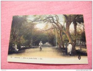 cpa ALGERIE--environ constantine----biskra---- allee au jardin public