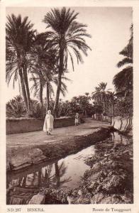 Algérie - Biskra - route de Touggourt