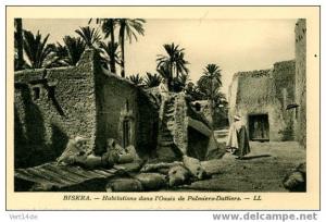 Algérie-CPA-Biskra-Habita   tions  dans Oasis de palmiers-Dattiers-Animati   on-