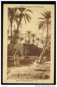 1 cpa biskra marabout de sidi brahim -cpc8