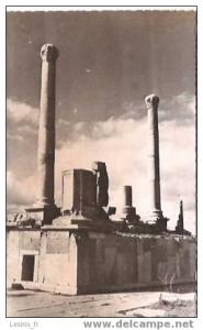 CP - PHOTO - ENVIRONS DE BISKRA - TIMGAD - FORUM - COLONNES - BOSSUET