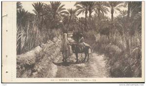 ALGERIE BISKRA DANS L'OASIS