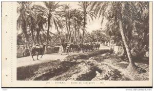 ALGERIE BISKRA ROUTE DE TOUGGOURT