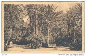 Biskra - Au Jardin Landon