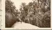 ALGERIE BISKRA JARDIN LANDON ALLEE DES PALMIERS