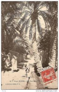 Vieux BISKRA - Une Rue dans l´Oasis - 32