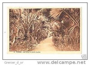 biskra une allee du jardin landon