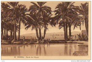 Algérie - Biskra - bords de l'oued