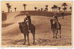 Algérie - Biskra - paysage au désert (animée)