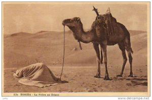 Algérie - Biskra - la prière au désert