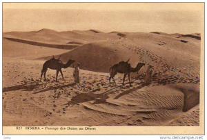 Algérie - Biskra - passage des dunes au désert
