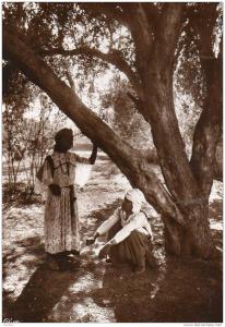 biskra carte non ecrite