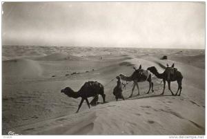 biskra carte non ecrite