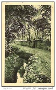 22/26. DANS LE VIEUX BISKRA.