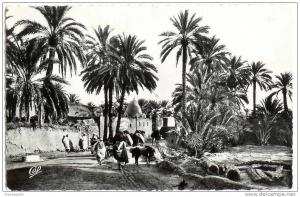 Biskra (Algérie)  Marabout de Sidi Lassen. CPSM petit format parfait état.