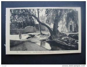 Algerie    VIEUX BISKRA  Mosquée de sidi maleck a travers les arbres