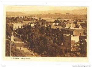 ALGERIA - 0093 Biskra - Vue générale