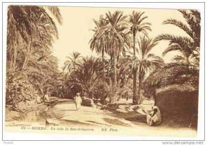 ALGERIA - 0193 Biskra - Un coin de Ras-el-Guerria