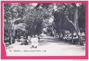 1940 - ALGERIE -  BISKRA - Allée du Jardin Public