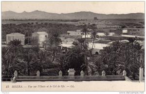 Biskra   Vue sur I´Oasis et le Col de Sfa
