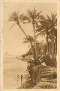 Qasis de BISKRA - L'Oued à Me Cid (Edit. A. Bougault, n° 3072)