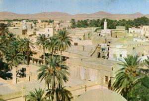 ALGERIE    BISKRA  Vue generale