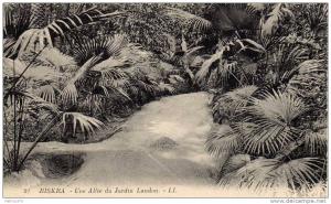 ALGERIE BISKRA - Une allée du jardin Landon