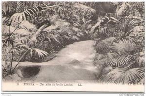 BISKRA - Une allée du Jardin Landon