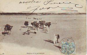 ALGERIE -- BISKRA -- La Palmeraie