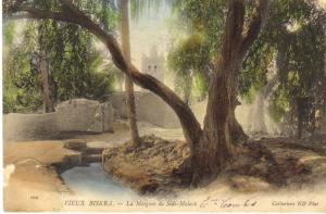 / ALGERIE - VIEUX BISKRA - La Mosquée de Sidi-Maleck