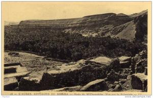 ALGERIE / ALGERIEN  L´AURES Environs de Biskra Oasis de M´Chounéche Vue sur la Palmeraie