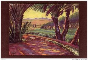 ALGERIE / ALGERIEN   Biskra  Oasis