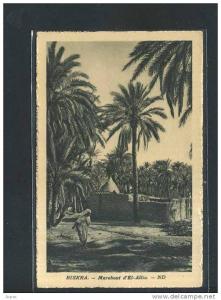 ...BISKRA ... Marabout d´EL-Allia... -animation-