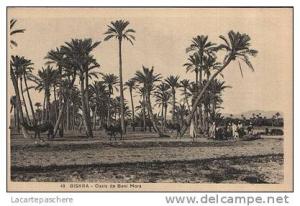 E74 BISKRA OASIS DE BENI MORA