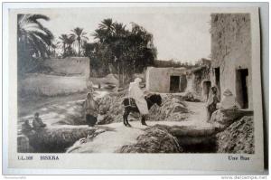 Algérie - CP N° 397G - Biskra, Une Rue, âne, ... - CPSM/N (état dos)