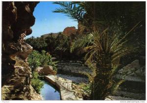 ALGERIE / ALGERIEN     Biskra les Environs , les Gorges de M ' chounech