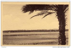 ALGERIE / ALGERIEN      Biskra  EL Kheloua